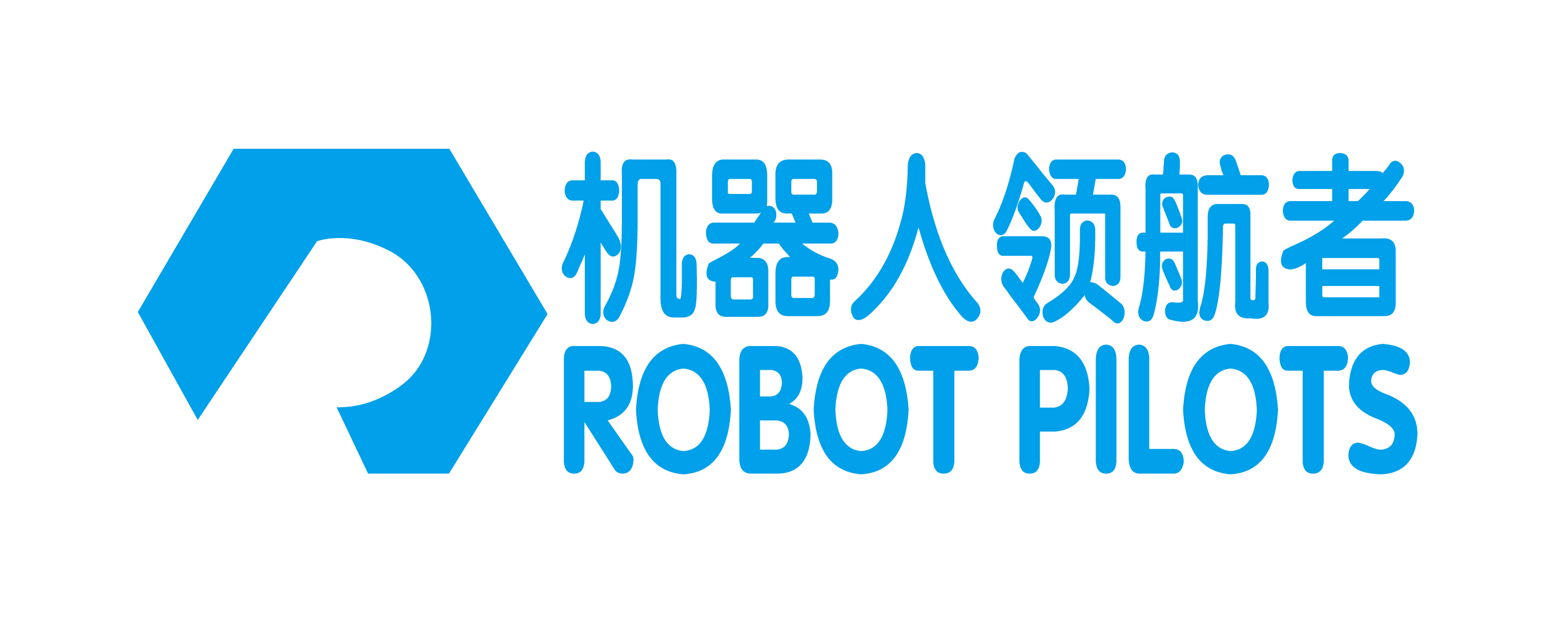 深圳大学-Robot Pilots-01.jpg